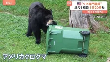 住宅街にクマが現れる町　アメリカの「クマ対策専門」州職員に密着　住民守る訓練も