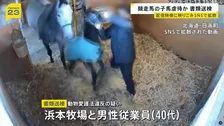 競走馬の子馬虐待の疑いで書類送検　暴行の様子が配信映像に映り込みSNSで拡散