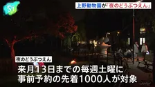 15年ぶり“パンダ不在”の上野動物園で「夜のどうぶつえん」　内容拡充し新たな魅力発信に注力　東京都