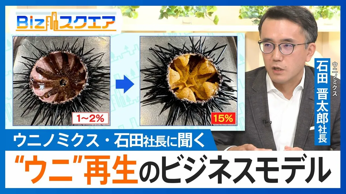 海藻を食い荒らす“痩せたウニ”がプリプリに…海を守って収益も「一石三鳥」の畜養ビジネスとは？【Bizスクエア】