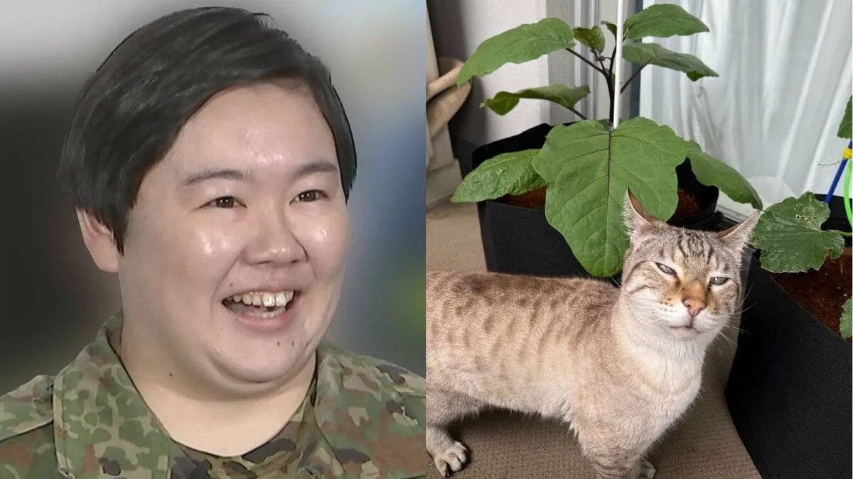 【やす子】 “家庭菜園” 成長の様子を報告　いっぽう愛猫アビシに “爪研ぎやめて” もフォロワー「本能」「お覚悟を」