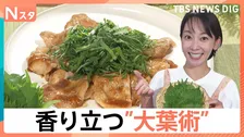 表と裏どっちで切る？香り立つ“大葉術”…子どもがパクパク簡単「大葉レシピ」に、家庭菜園で大量収穫「大葉の栽培術」【Nスタ】