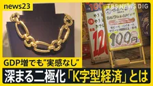 GDP3期連続プラス成長も…　個人消費マイナスで“実感なし”　二極化「K字型経済」って？【news23】