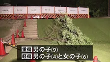 長さ約4.5メートルの枝が落下　子ども3人が重軽傷　「イヌエンジュ」の木、強風で折れたか　京都・宇治市の運動公園
