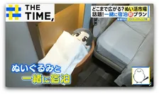 ぬいぐるみ“専門病院”や“一緒にお泊りプラン”も大盛況…広がる「ぬい活市場」【THE TIME,】 