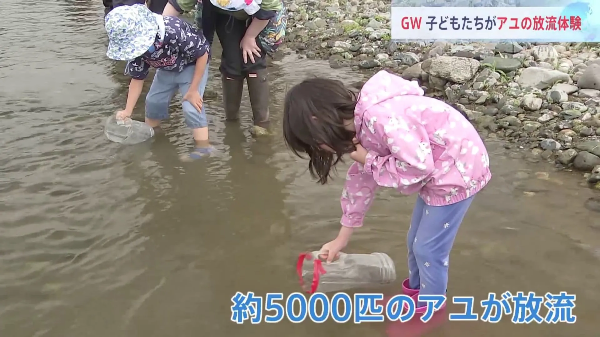 アユの放流体験　約250人の親子が参加し約5000匹の稚魚を放流　神奈川・小田原市　酒匂川