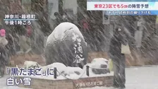 関東各地で雪　東京23区で8日夕方にかけ5cmの降雪予想　千葉・木更津の公園は銀世界に　神奈川・箱根町では名物「黒たまご」に白い雪が
