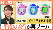 「平成女児売れ」現象で平成の流行が再びブームに？　「たまごっち」が人気再燃のワケ【Nスタ解説】