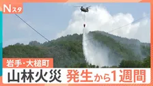 岩手・大槌町の山林火災　発生から1週間「火の勢いは概ね制御下」町に連日の雨　子どもたちを支援する“遊び場”も登場【Nスタ】