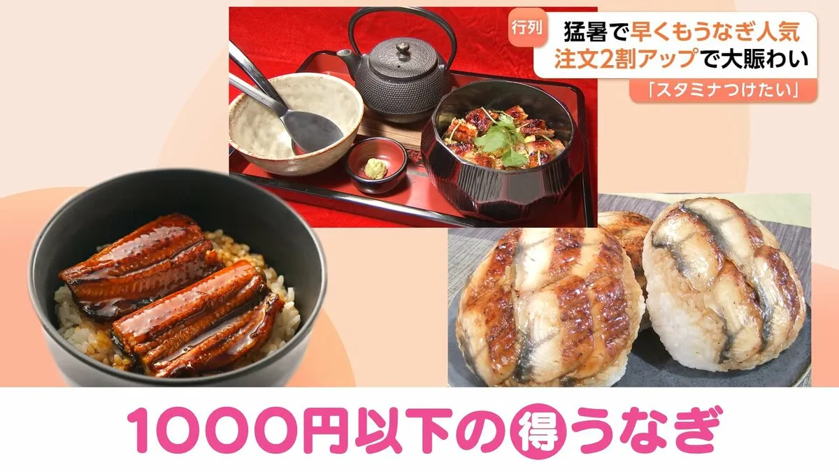 暑い時こそうなぎでスタミナ回復!今年はうなぎを1000円以下で食す!?ひつまぶしに巨大うなぎおにぎりがお得!