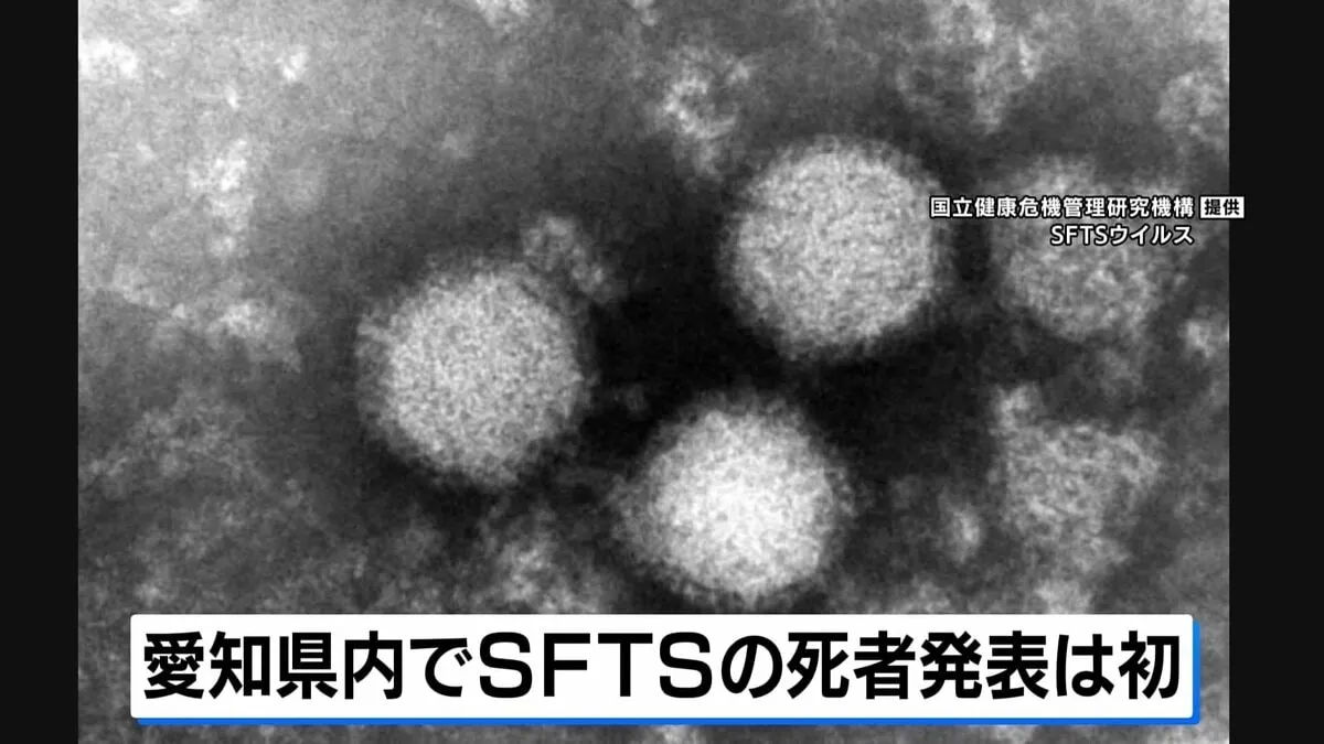マダニ感染症「SFTS」で50代女性と90代男性が死亡　愛知・豊田市