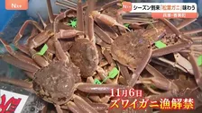 「いつも待ち遠しい」解禁となったズワイガニをPR「香住松葉ガニまつり」 参加者が器用に殻剥き会場盛り上げ