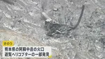 「何が起こったのか私も知りたい」運航会社が会見　阿蘇中岳の火口で遊覧ヘリコプターが大破　乗客の発見に至らず