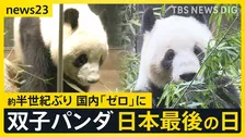 「忘れられない一日」上野・双子パンダ日本最後の日　“新たなパンダの貸与”は見通し立たず…中国「パンダを見に来ることを歓迎」【news23】