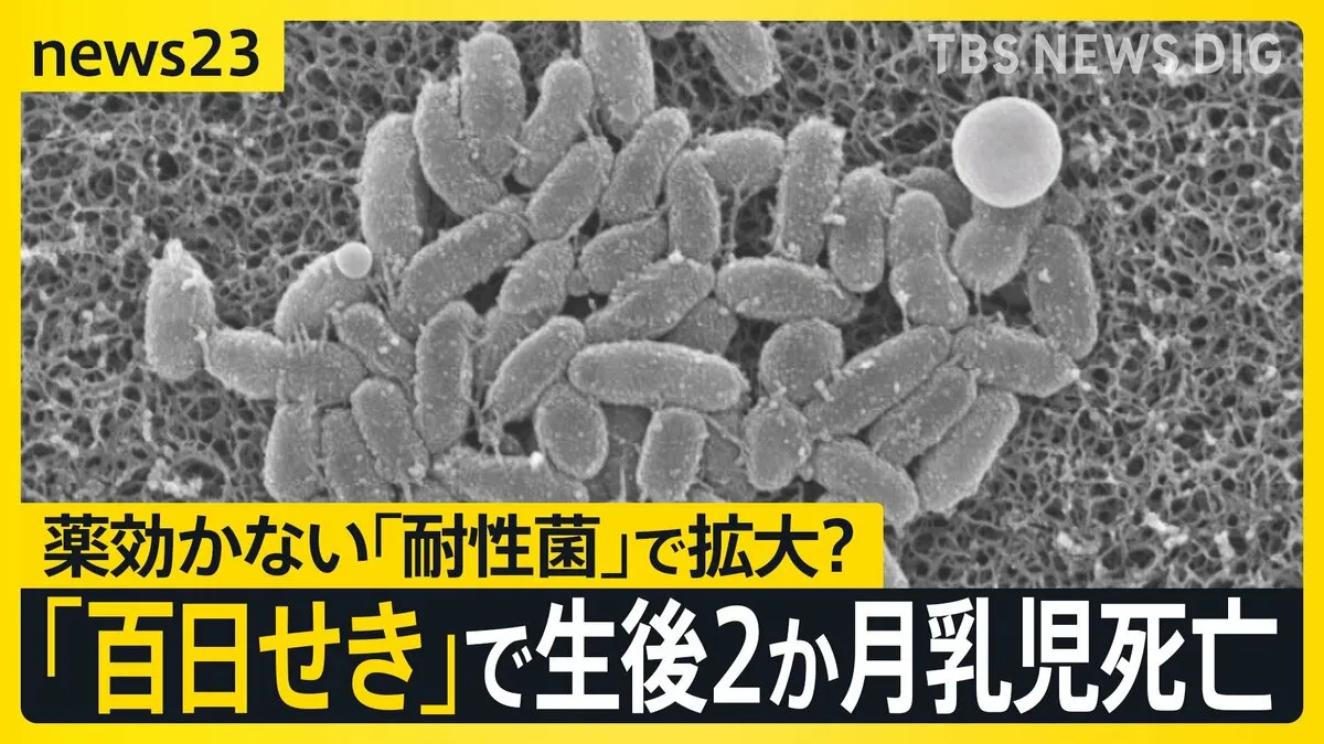「百日せき」3週連続で患者数過去最多　生後2か月の乳児が死亡　薬が効かない「耐性菌」で感染拡大か【news23】