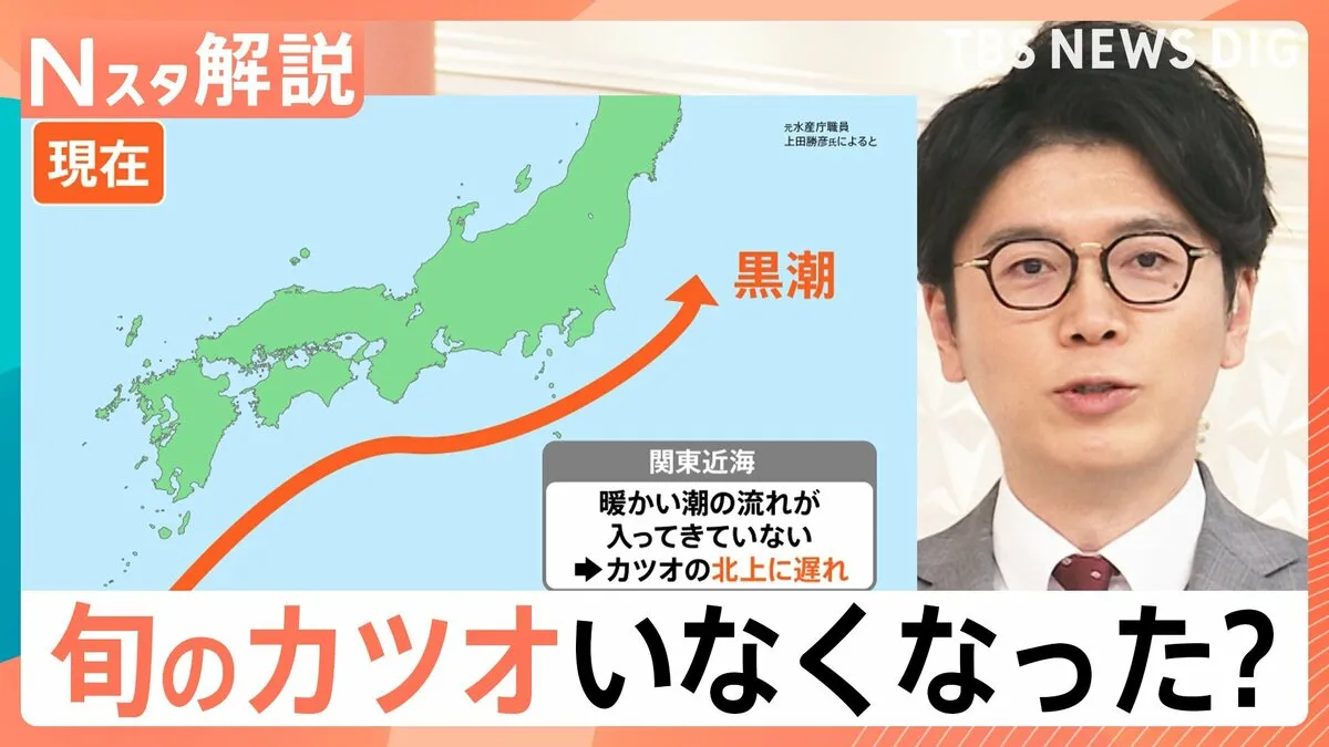 「高すぎて買えない」“庶民の味方”カツオの卸値1.5倍に、なぜカツオが獲れない？【Nスタ解説】
