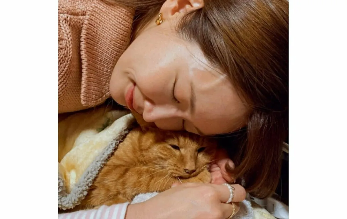 【 紗栄子 】 「輪島にて、迷い猫の捜索に参加しています」　能登半島地震や、豪雨災害の際に「お家からいなくなってしまった猫たちを探す活動です」