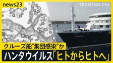 クルーズ船で3人死亡「ハンタウイルス」集団感染か 「ヒト・ヒト感染が起きた可能性」 致死率は最大50％…日本で流行の可能性は？【news23】