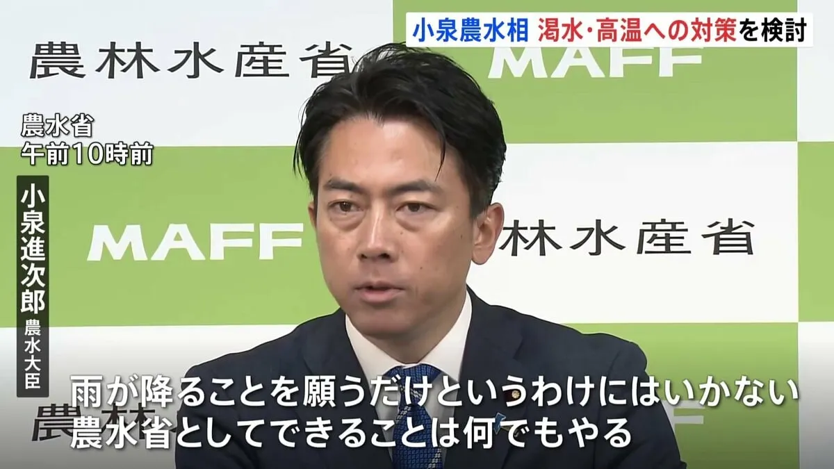 小泉農水大臣「雨が降ることを願うだけにはいかない」　記録的猛暑や水不足でコメの収穫への影響懸念　対策強化へ