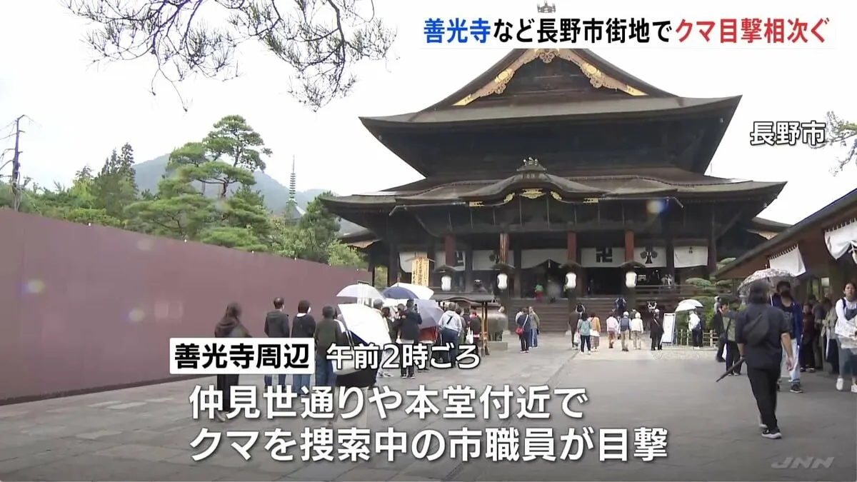 長野市北部の善光寺周辺でクマの目撃情報相次ぐ「仲見世通りを北の境内に向かって歩いていくクマが」 1頭のクマが移動か、注意呼びかけ