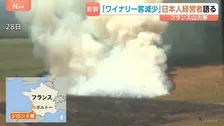 山火事続くフランス　ワイン名産地ボルドーでワイナリー営む日本人男性　見学キャンセル・客足遠のく　観光地では4000人に避難指示