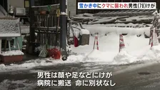 大雪警報のなか“雪かき中にクマ”　襲われた78歳の男性が顔や足などにけが　長野・野沢温泉村　中心部の温泉街で