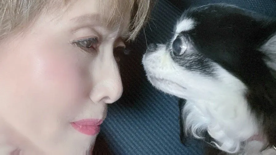 【小柳ルミ子】愛犬・ルルが体調不良　多忙の中病院や預け先へ奔走　 “お互いがお互いを思いやる” 　家族として看病に向き合う