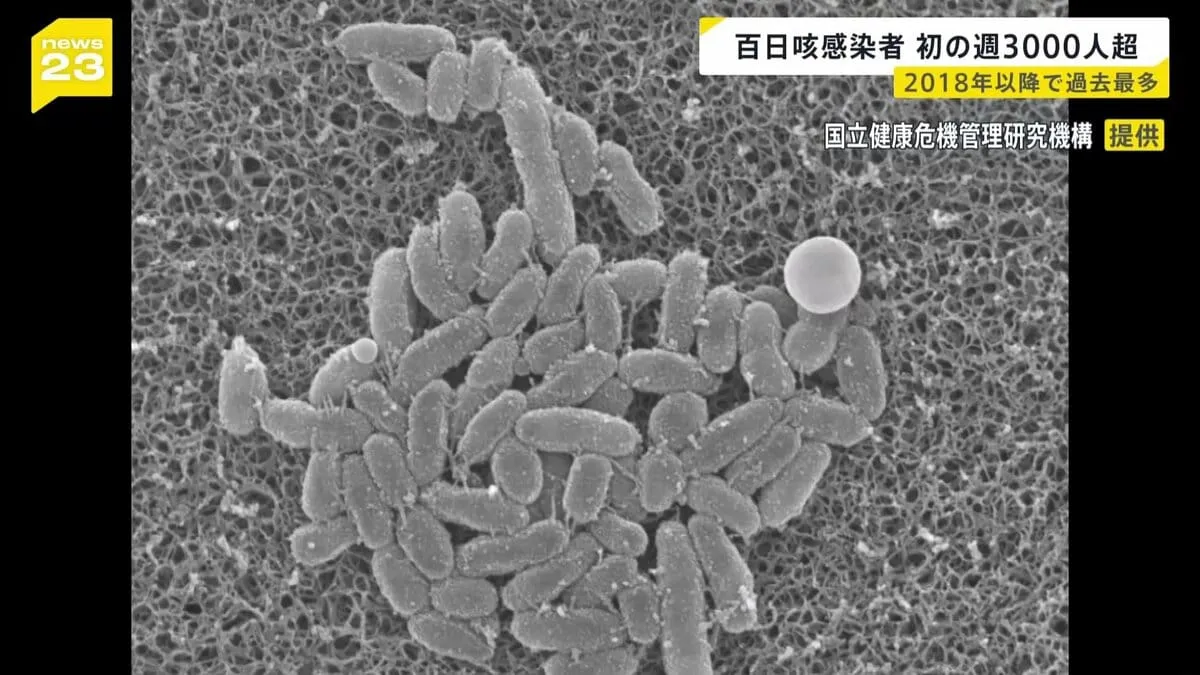「百日せき」全国の1週間の報告数が3044人　2018年以降で過去最多　厚労省“予防には生後2か月から受けられるワクチンの接種が有効”