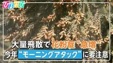 花粉症「朝起きた時からつらい」“モーニングアタック”　医師が勧める対策は【ひるおび】