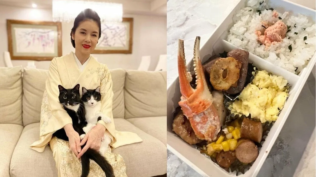 【 藤あや子 】孫娘 “JK” に豪華お弁当「あや弁」を製作　猛暑でも愛猫たちはマイペース「おそときもちいいよ」