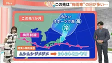【6月19日 関東の天気】強烈な日差し 30℃超え続出