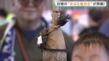 全国かぶと虫相撲大会　320人の子ども親方が参加　自慢の“かぶと虫力士”で最強横綱を目指す　山形・中山町