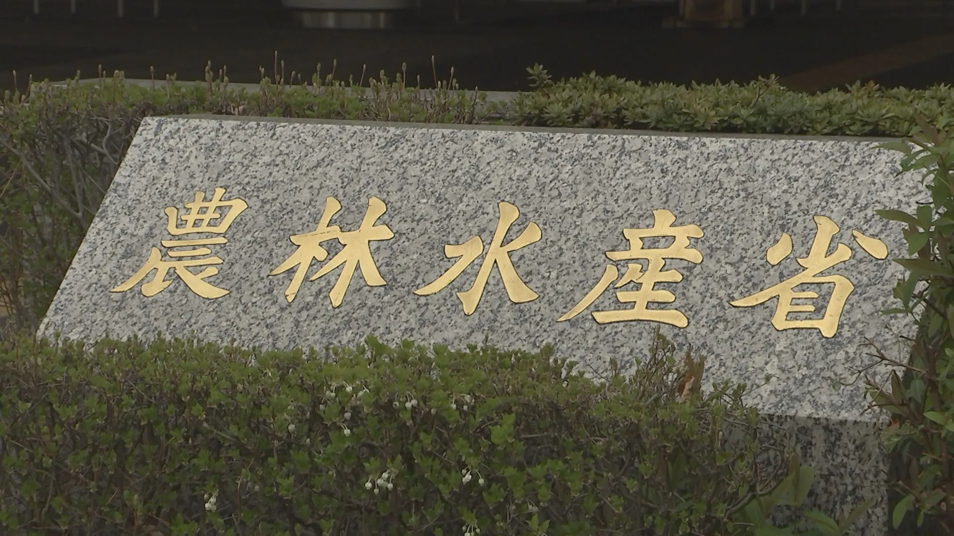 2024年の農林水産物・食品輸出額　初の1兆5000億円超え　12年連続過去最高更新