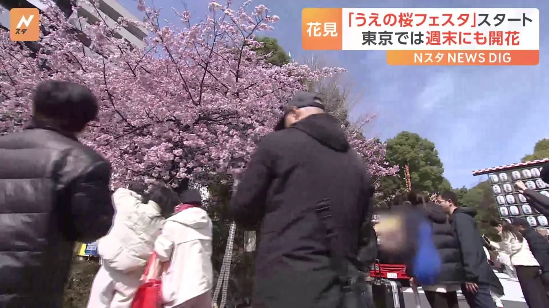 ソメイヨシノの開花は？一足早く胃袋が満開　“桜の名所”東京・上野公園に全国ご当地グルメが大集合「うえの桜フェスタ」