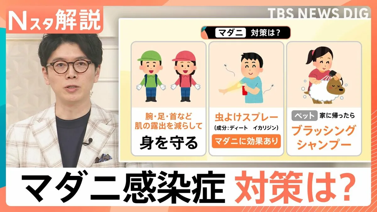 感染拡大の要因は“ペット”と“高温”？マダニが媒介「SFTS=重症熱性血小板減少症候群」とは【Nスタ解説】
