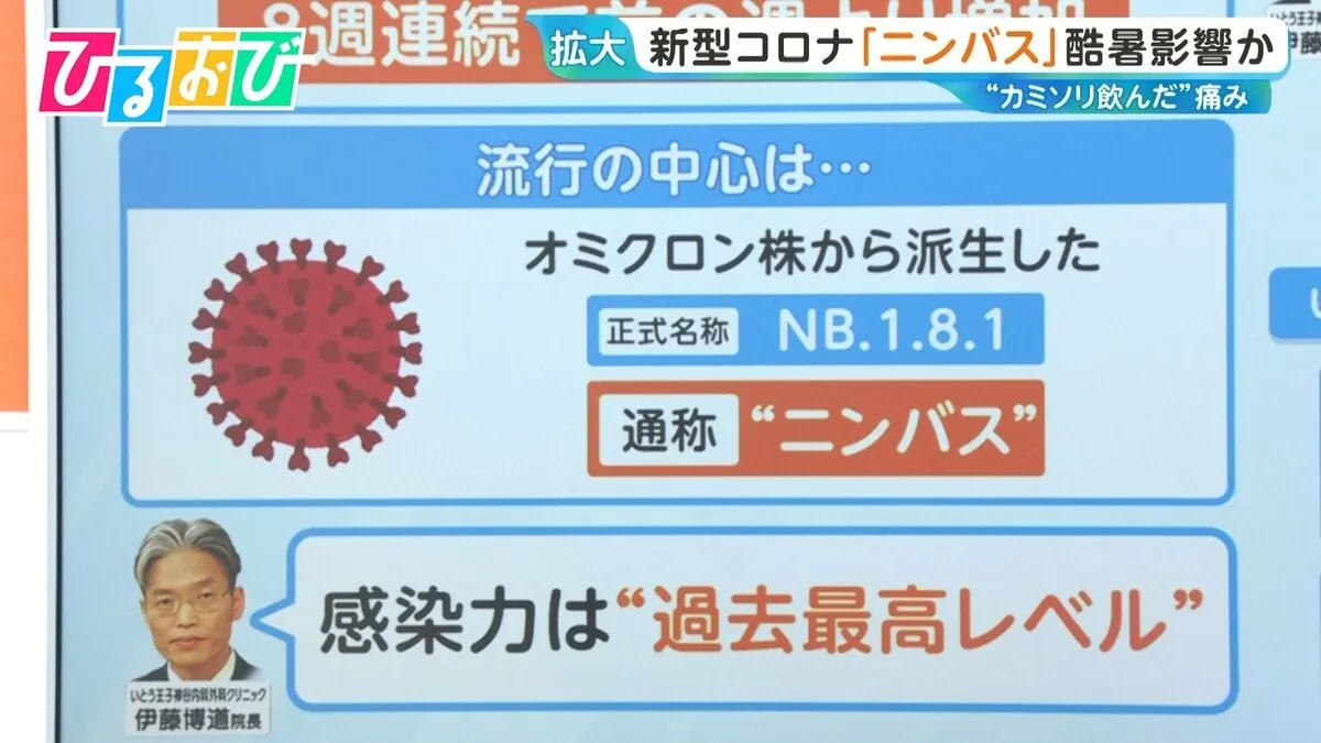 “カミソリを飲んだ”痛み…新型コロナ「ニンバス」が流行 酷暑も影響か　受診のタイミングは？【ひるおび】