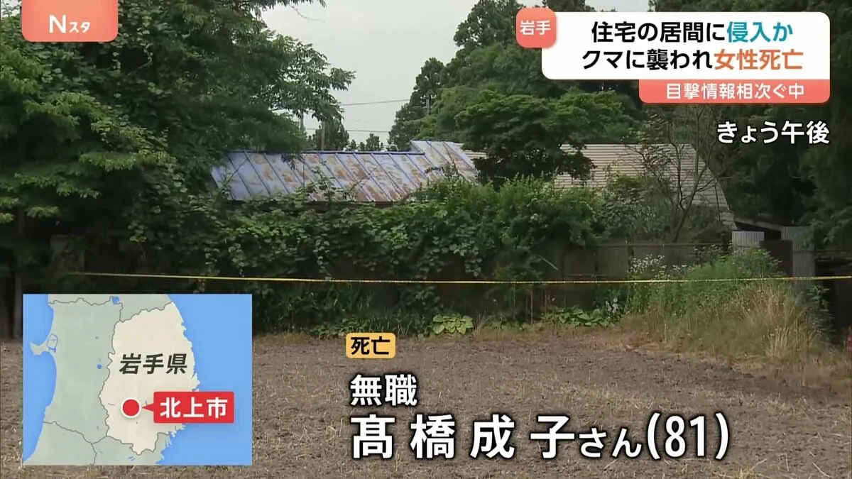 【速報】自宅の居間にクマが侵入か　81歳の女性が死亡　襲ったクマはまだ見つからず　全身に“爪の傷”　岩手・北上市