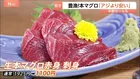 本マグロが「アジより安い！」 半額セール続々！「本当に脂がのっていておいしい」