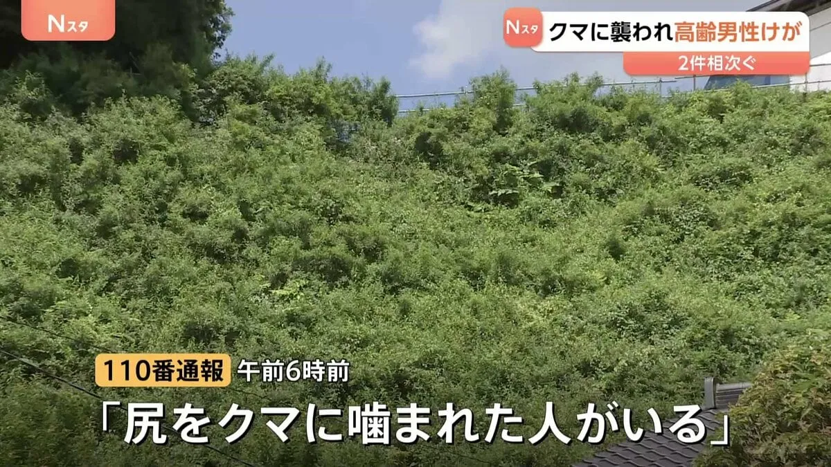 「痛いと思って見たらクマ」栃木・那須塩原でクマ被害相次ぐ 男性(85)が襲われ軽傷 3キロ離れた山林では77歳男性がかまれケガ
