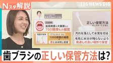 その歯ブラシ、大丈夫？歯垢1gに1000億個の細菌が…風呂場はNG？プロが教える意外な“落とし穴”【Nスタ解説】