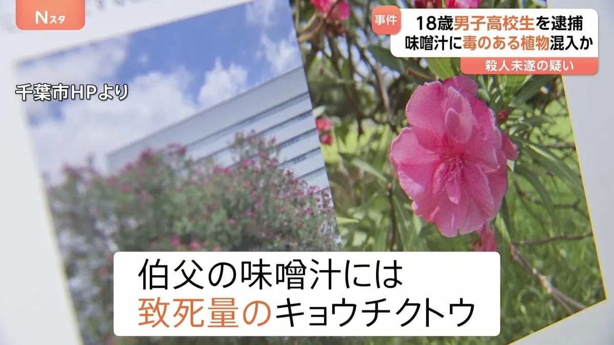 「いびきがうるさくて」同居する伯父の味噌汁に毒を混入させ殺害しようとしたか　男子高校生（18）逮捕　事件後にはJR千葉駅で女性2人にハンマーで暴行か　千葉県警