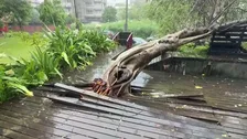 台風9号の影響　台湾で113人けが、倒木や建物損壊などの被害報告2150件以上