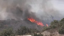 フランス南部　記録的熱波で大規模な山火事　約1万2000人超が避難　ツール・ド・フランスにも影響