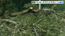 サッカー少年団の試合中にグラウンドで倒木「木がバウンドするくらいの衝撃」 未就学の女児2人を含む7人搬送も全員命に別状なし　静岡・御殿場市