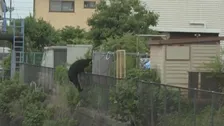 【速報】栃木県宇都宮市で相次ぐクマの目撃情報　JNNのカメラがクマの姿を住宅街で捉える