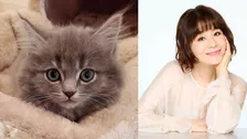 【 大地真央 】 「家族が増えました」　元宝塚トップコンビ　黒木瞳の家で生まれた猫を紹介　「美しい猫様」「高貴な佇まい」