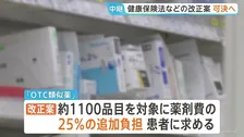 出産費用無償化などを含む健康保険法改正法案　衆議院通過の見通し　ロキソニンやアレグラなど約1100品目は自己負担25％追加へ