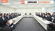 食料品の消費税減税 月内の決着見送り 「実質ゼロ化」案に野党反発で議論膠着