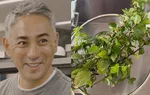 【 市川團十郎 】人生初のハーブティー作りに反響「身体にも心にも優しそう」「すてきな時間をお楽しみください」