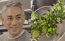 【 市川團十郎 】人生初のハーブティー作りに反響「身体にも心にも優しそう」「すてきな時間をお楽しみください」